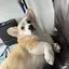 Yukenのプロフィール画像