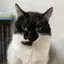 ちえりのプロフィール画像