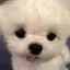 りのプロフィール画像