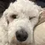 さーちゃんのプロフィール画像