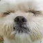 みーちゃんのプロフィール画像