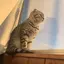 Uのプロフィール画像