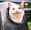 ルノのプロフィール画像