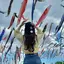 Mのプロフィール画像