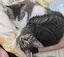 あだちのプロフィール画像