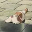 ゆのプロフィール画像