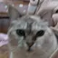 ぅぅのプロフィール画像