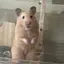 とものプロフィール画像