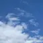 りこのプロフィール画像