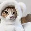 Miaのプロフィール画像