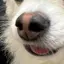 linのプロフィール画像
