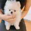MAKIのプロフィール画像