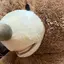 たまこのプロフィール画像