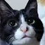 きむらのプロフィール画像
