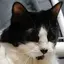 Rのプロフィール画像