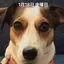 雅行のプロフィール画像