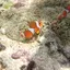 やまとのプロフィール画像