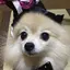 智子のプロフィール画像