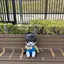naviのプロフィール画像