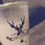 珠咲のプロフィール画像