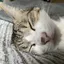 みさきのプロフィール画像