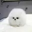 miroのプロフィール画像