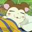 chiのプロフィール画像