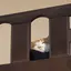 ムギのプロフィール画像