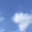 N!のプロフィール画像