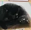 よっちのプロフィール画像