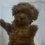 ぴのプロフィール画像