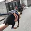 たかののプロフィール画像