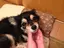 まろのプロフィール画像
