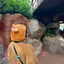 セイラのプロフィール画像