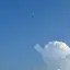 まーのプロフィール画像