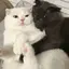 yumiのプロフィール画像