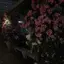 ⋆˚。⋆ 𐦍 ⋆˚。⋆のプロフィール画像