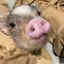 じんぱちのプロフィール画像