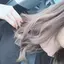 Riiのプロフィール画像