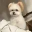 yuのプロフィール画像