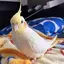 ひかるのプロフィール画像