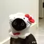 Rのプロフィール画像