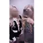 💕のプロフィール画像