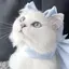 月のプロフィール画像