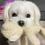 月樺のプロフィール画像