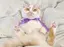 mのプロフィール画像