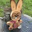 けんじのプロフィール画像