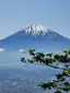 純子のプロフィール画像