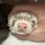 あやかのプロフィール画像