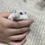 しおりのプロフィール画像